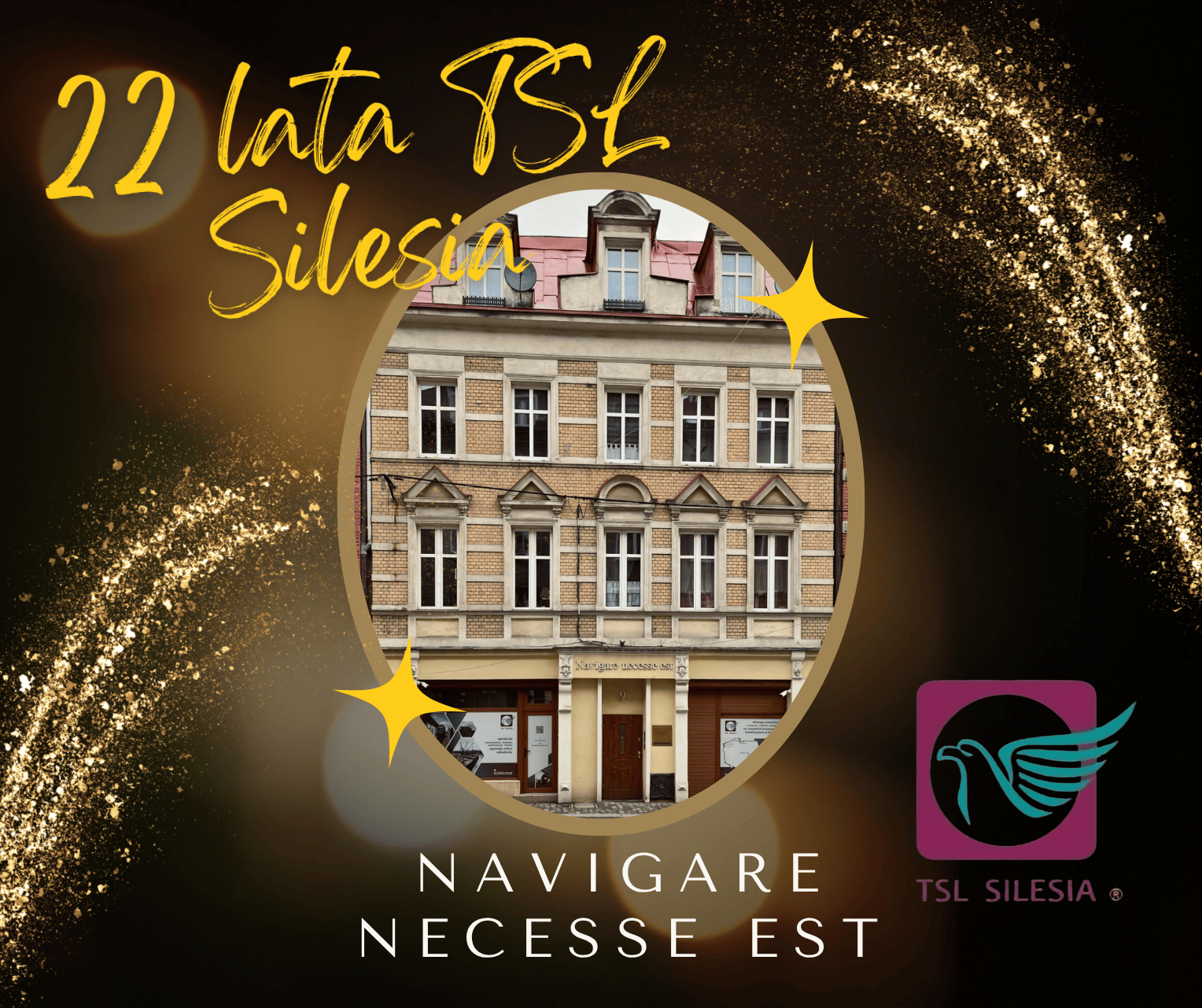 Read more about the article 22 lata TSL Silesia